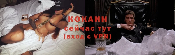 прущие крисы Алзамай