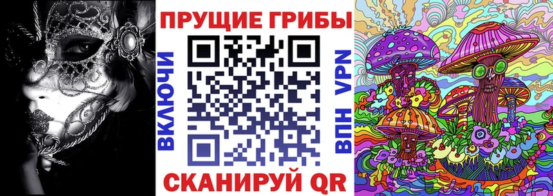 цена   Сураж  Псилоцибиновые грибы ЛСД 